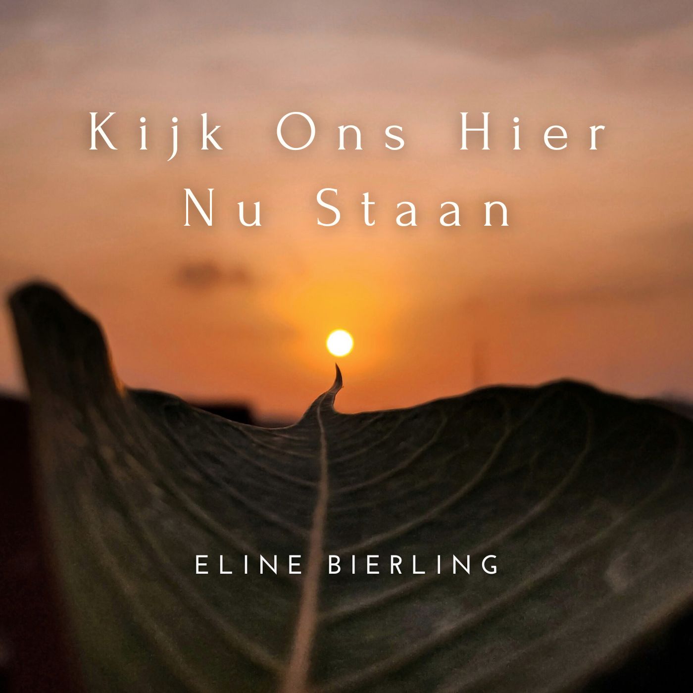Cover Liefde